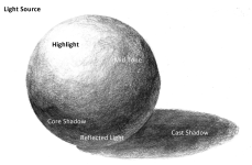 1727131699104.png 1727131699104.png