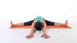 Wide-Angled Seated Forward Bend.jpg