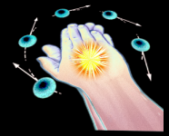 1762129065078.png 1762129065078.png