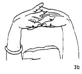 1771399443806.jpeg 1771399443806.jpeg