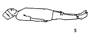 1771399558079.jpeg 1771399558079.jpeg