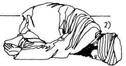 1771497979146.jpeg 1771497979146.jpeg