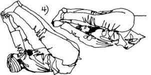 1771498048497.jpeg 1771498048497.jpeg