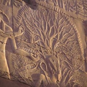 Egyptian tree of life17.jpg