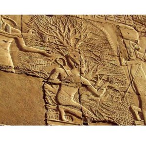 Egyptian tree of life18.jpg