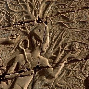 Egyptian tree of life21.jpg