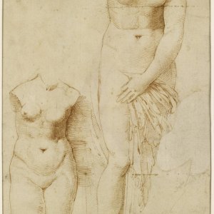 Raphael - Recto Two Figures of Aphrodite Verso Male Figure in Action.jpg