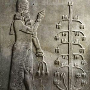 Assyrian homa, or sacred tree1.jpg