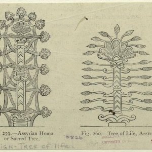 Assyrian homa, or sacred tree.jpg