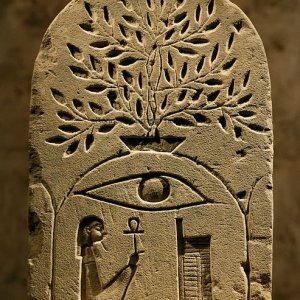 Egyptian tree of life1.jpg