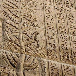 Egyptian tree of life.jpg