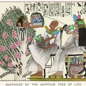 Egyptian tree of life12.jpg