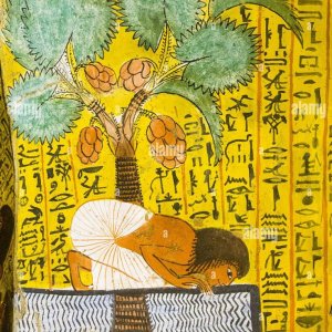 Egyptian tree of life14.jpg