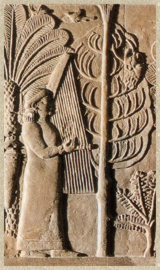 Assyrian 3rd BC.jpg