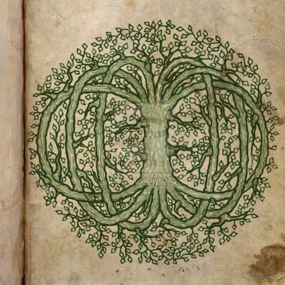 Celtic tree of life2.jpg