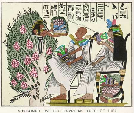 Egyptian tree of life12.jpg