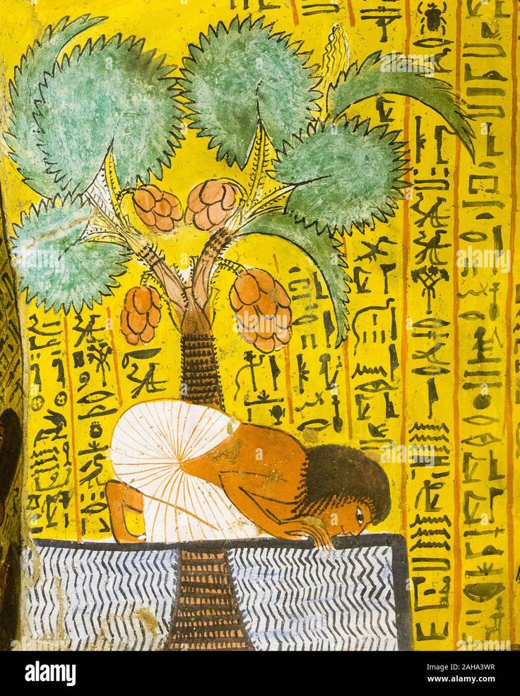 Egyptian tree of life14.jpg