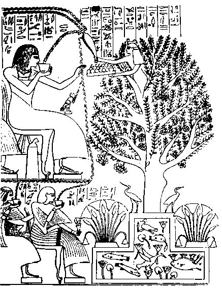 Egyptian tree of life5.jpg