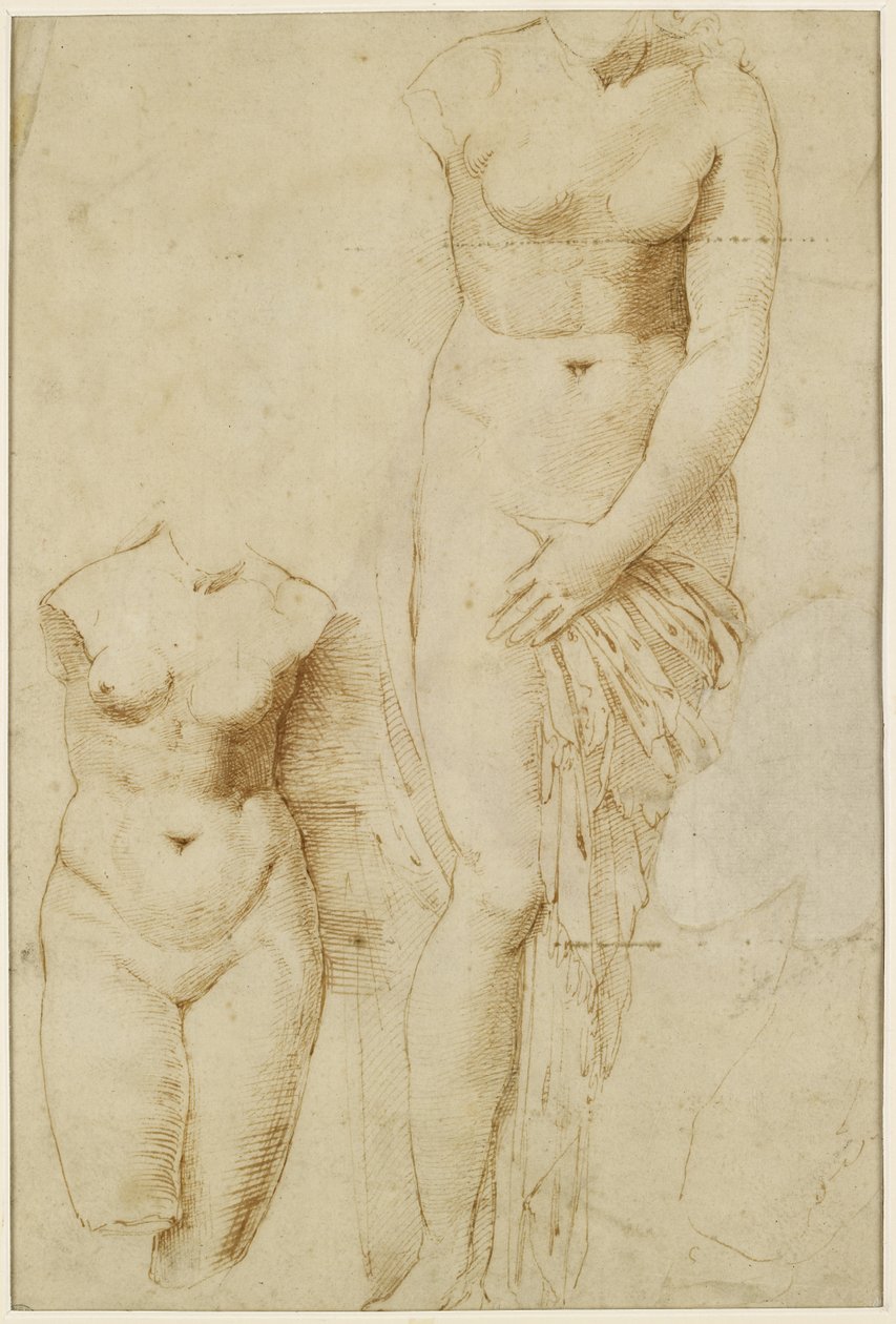 Raphael - Recto Two Figures of Aphrodite Verso Male Figure in Action.jpg