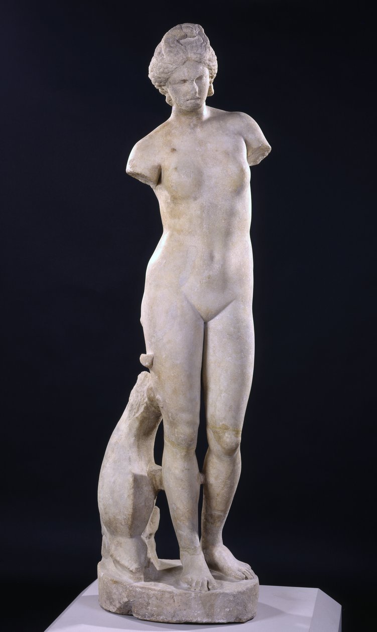 Roman_-_Aphrodite_of_Cyrene_-_(MeisterDrucke-903848).jpg