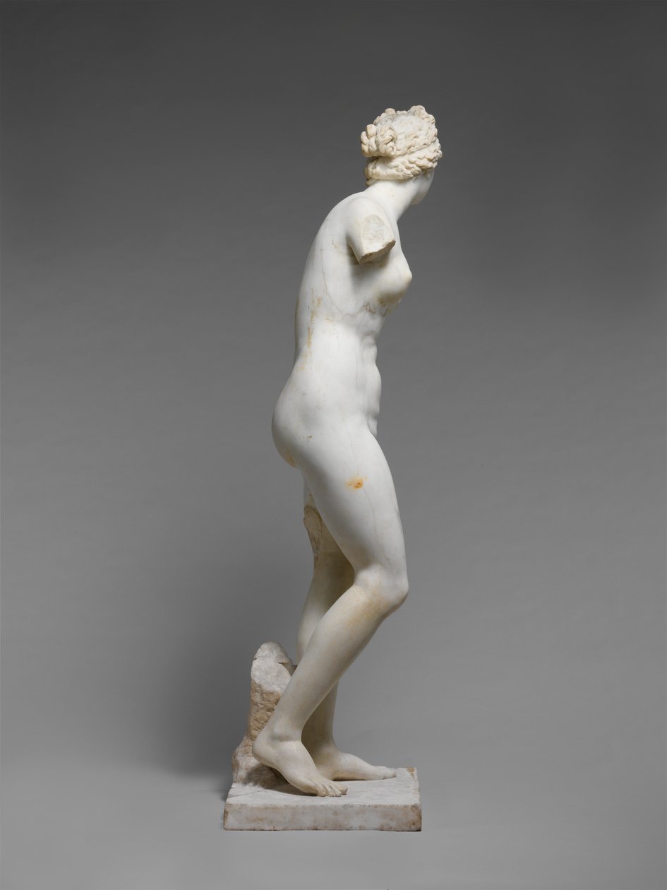 Roman_Roman_-_Statue_of_Aphrodite_-_(MeisterDrucke-912552).jpg